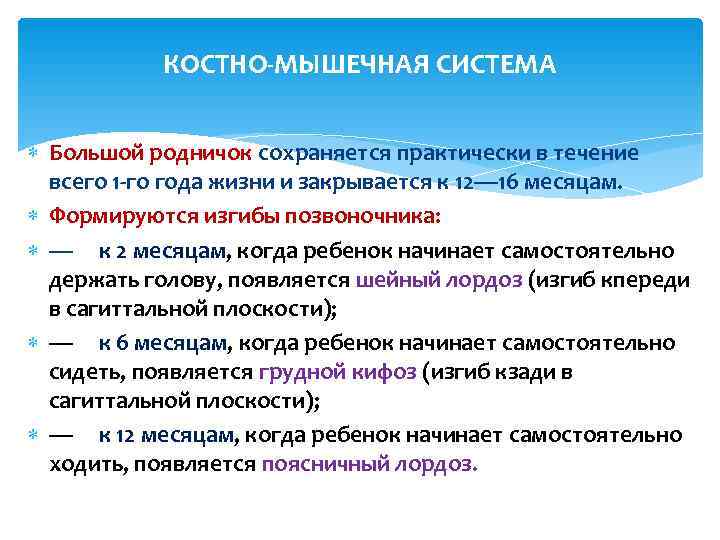   КОСТНО-МЫШЕЧНАЯ СИСТЕМА Большой родничок сохраняется практически в течение  всего 1 -го