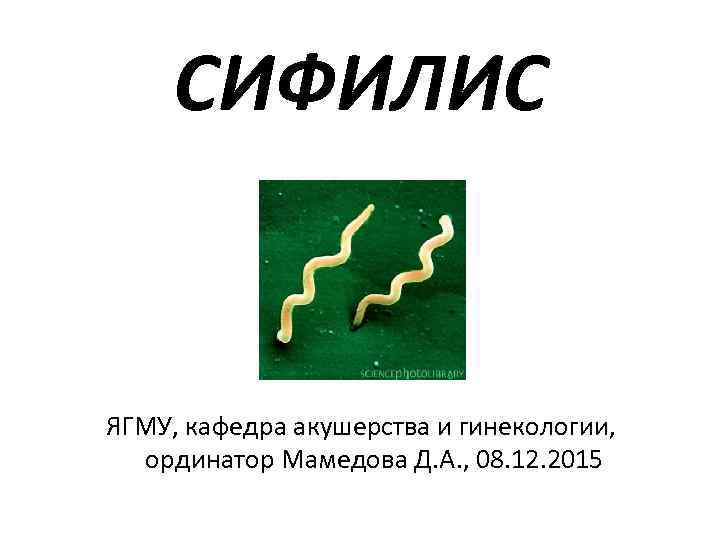 СИФИЛИС ЯГМУ, кафедра акушерства и гинекологии, ординатор Мамедова Д. А. , СИФИЛИС ЯГМУ, кафедра акушерства и гинекологии, ординатор Мамедова Д. А. ,