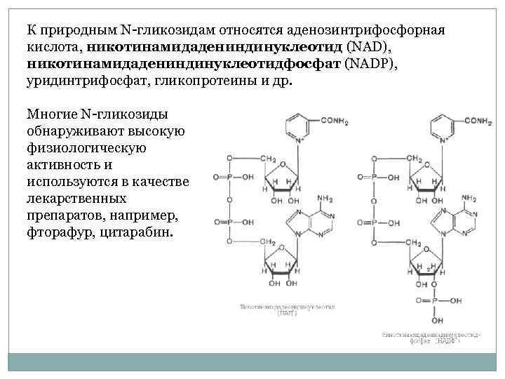 К природным N гликозидам относятся аденозинтрифосфорная кислота, никотинамидадениндинуклеотид (NAD),  никотинамидадениндинуклеотидфосфат (NADP),  уридинтрифосфат,