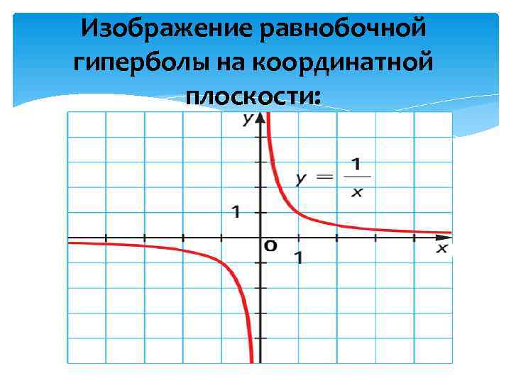  Изображение равнобочной гиперболы на координатной   плоскости: 