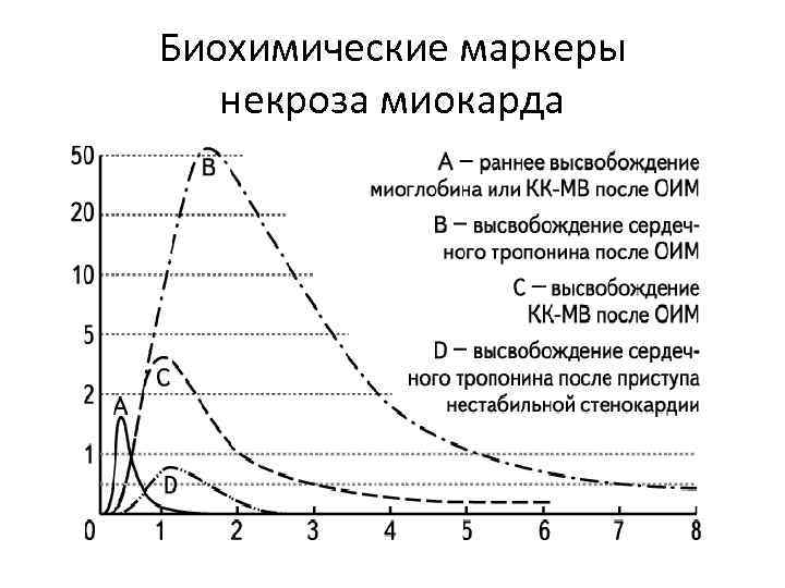 Биохимические маркеры некроза миокарда 