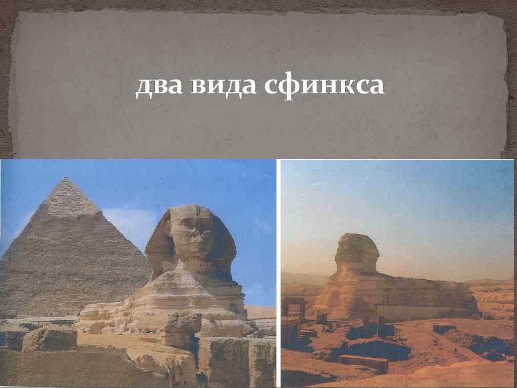 два вида сфинкса 