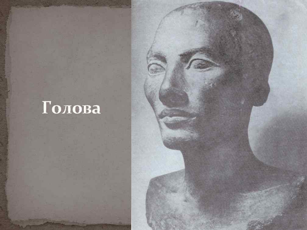 Голова 
