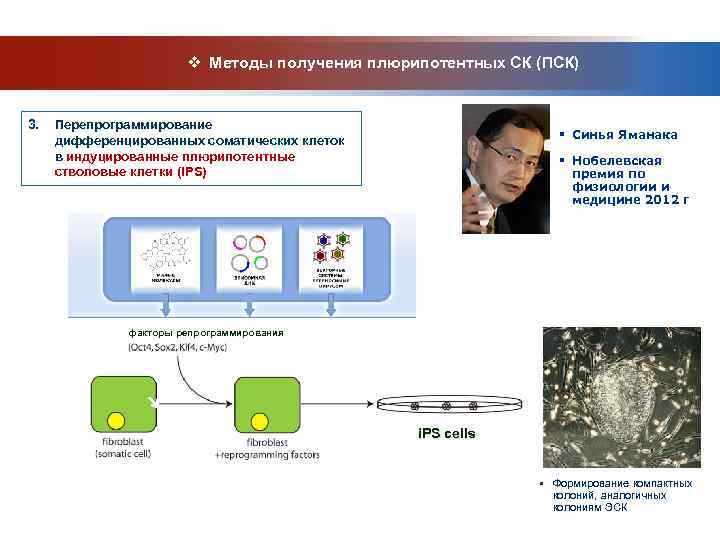     v Методы получения плюрипотентных СК (ПСК)  3.  Перепрограммирование