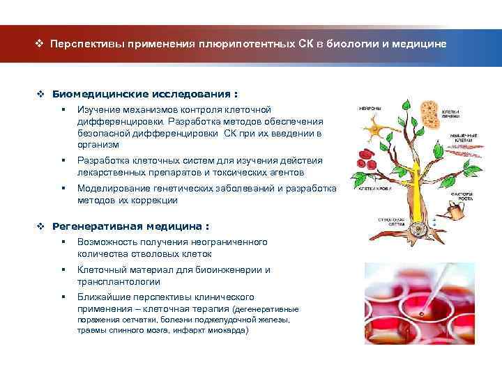 Каким номером на рисунке обозначен метод который используется для изучения процессов дифференцировки