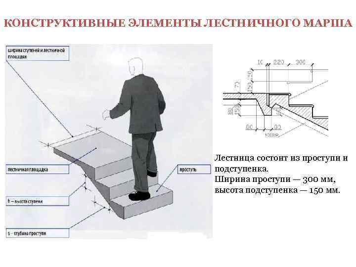 КОНСТРУКТИВНЫЕ ЭЛЕМЕНТЫ ЛЕСТНИЧНОГО МАРША     Лестница состоит из проступи и 