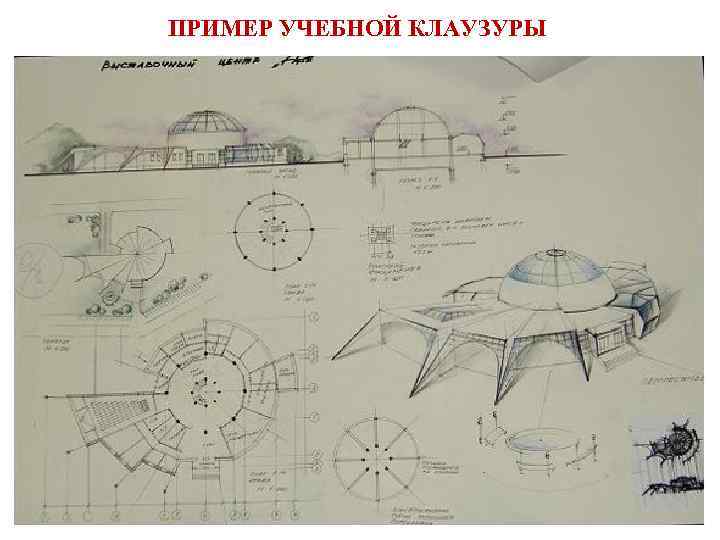 ПРИМЕР УЧЕБНОЙ КЛАУЗУРЫ 