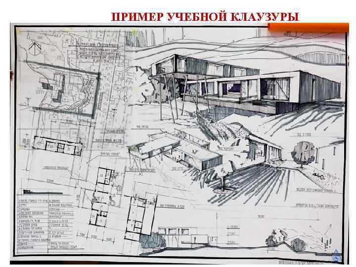 ПРИМЕР УЧЕБНОЙ КЛАУЗУРЫ 