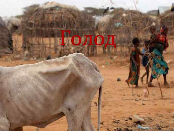 Голод 