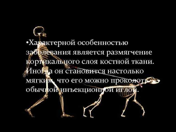  • Характерной особенностью заболевания является размягчение кортикального слоя костной ткани.  Иногда он