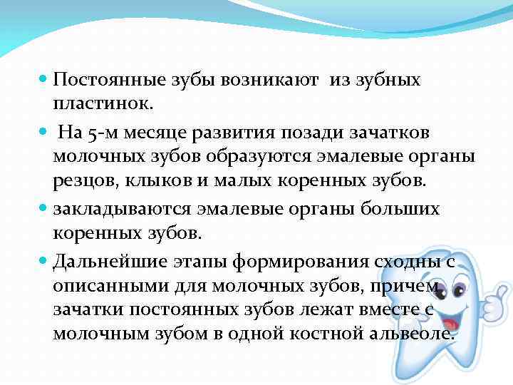  Постоянные зубы возникают из зубных  пластинок.  На 5 -м месяце развития