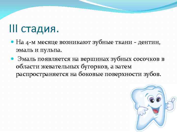 III стадия.  На 4 -м месяце возникают зубные ткани - дентин,  эмаль