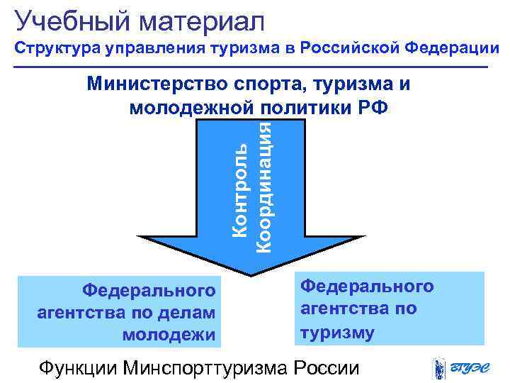 Учебный материал Структура управления туризма в Российской Федерации   Министерство спорта, туризма и