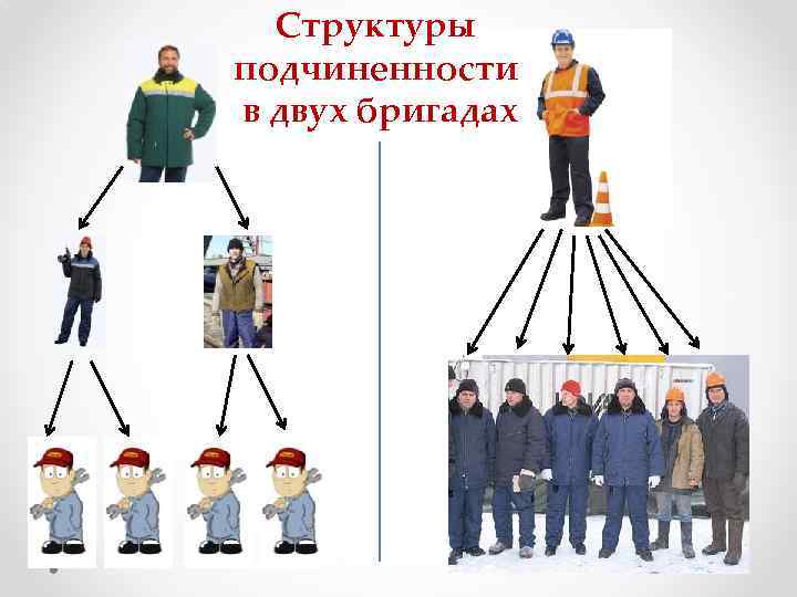  Структуры подчиненности в двух бригадах 