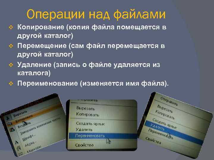   Операции над файлами v Копирование (копия файла помещается в  другой каталог)