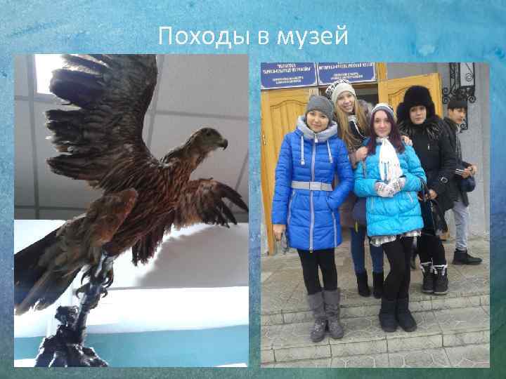 Походы в музей 