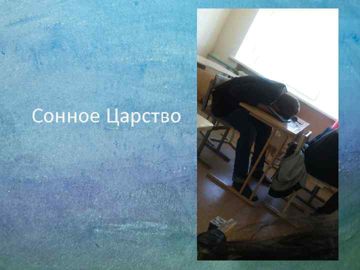 Сонное Царство 