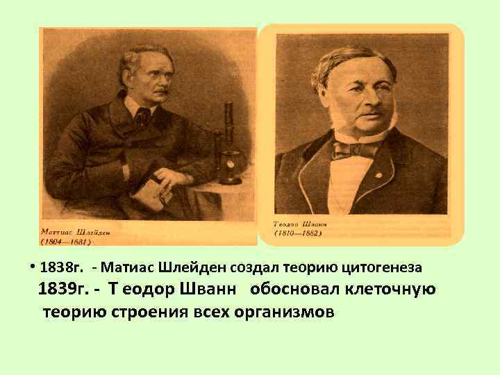 Шванн Шлейден Вирхов. Клеточная теория Шванна и Шлейдена. 1838г. Т.Шлейден. Матиас Шлейден эволюционные учения.