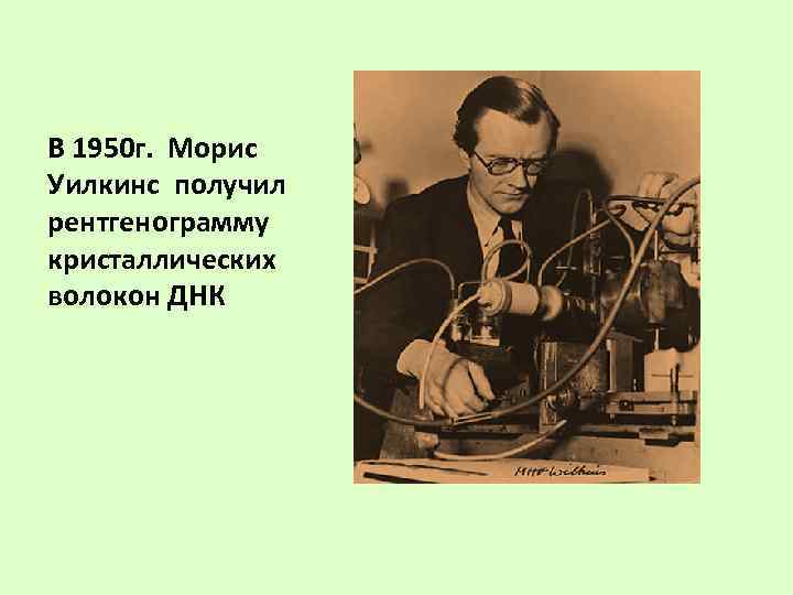 В 1950 г.  Морис Уилкинс получил рентгенограмму кристаллических волокон ДНК 