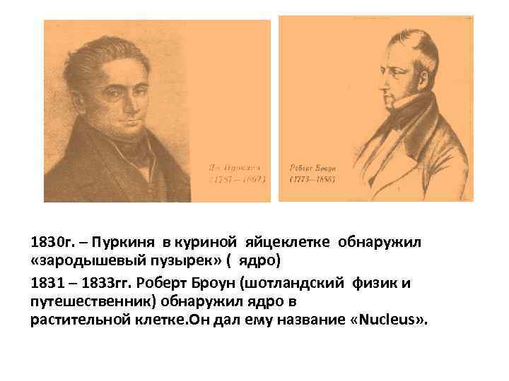 1830 г. – Пуркиня в куриной яйцеклетке обнаружил  «зародышевый пузырек» ( ядро) 1831
