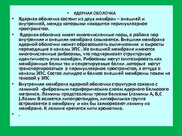      •  ЯДЕРНАЯ ОБОЛОЧКА • Ядерная оболочка состоит из