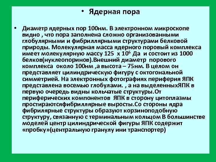      • Ядерная пора • Диаметр ядерных пор 100 нм.