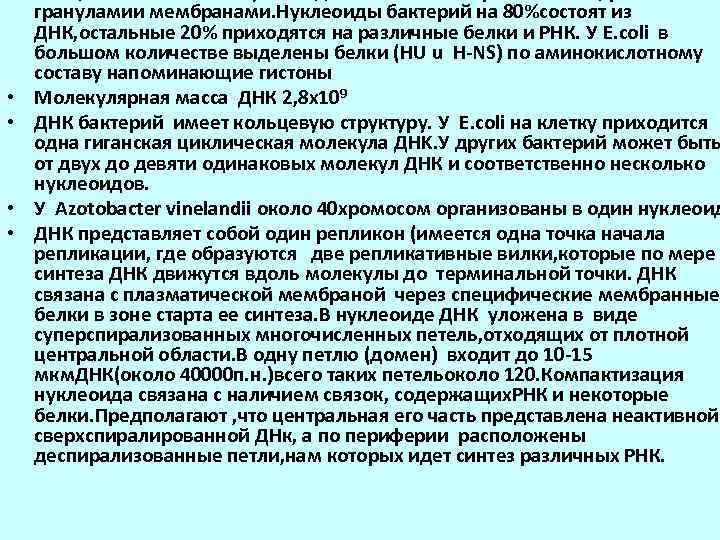   грануламии мембранами. Нуклеоиды бактерий на 80%состоят из ДНК, остальные 20% приходятся на