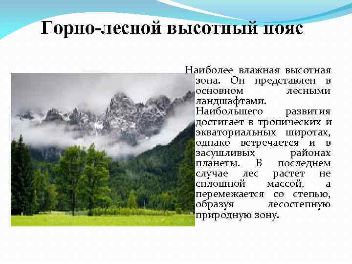 На каких высотах расположен лесной пояс кавказ. Горно-Лесной пояс. Климат Горно Лесной зоны. Горно-Лесной пояс животные. Горно Лесной пояс климат.