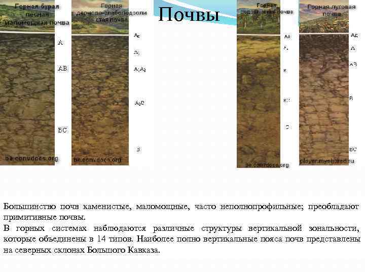 Луговая почва. Горно-луговые почвы. Маломощные почвы. Горно-луговые почвы профиль. Горные примитивные почвы профиль.