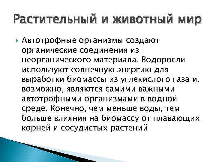 Растительный и животный мир Автотрофные организмы создают органические соединения из неорганического материала. Водоросли используют