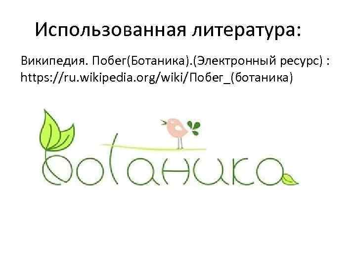  Использованная литература: Википедия. Побег(Ботаника). (Электронный ресурс) :  https: //ru. wikipedia. org/wiki/Побег_(ботаника) 