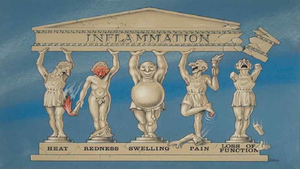 Признаки воспаления 