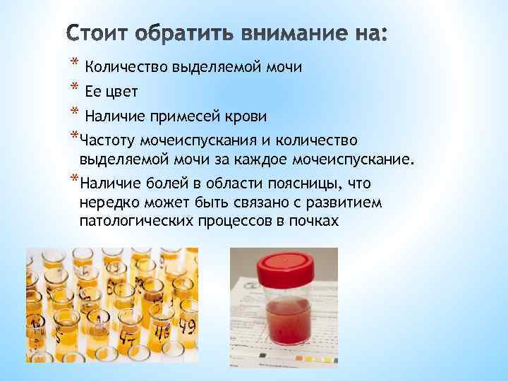 * Количество выделяемой мочи * Ее цвет * Наличие примесей крови *Частоту мочеиспускания и