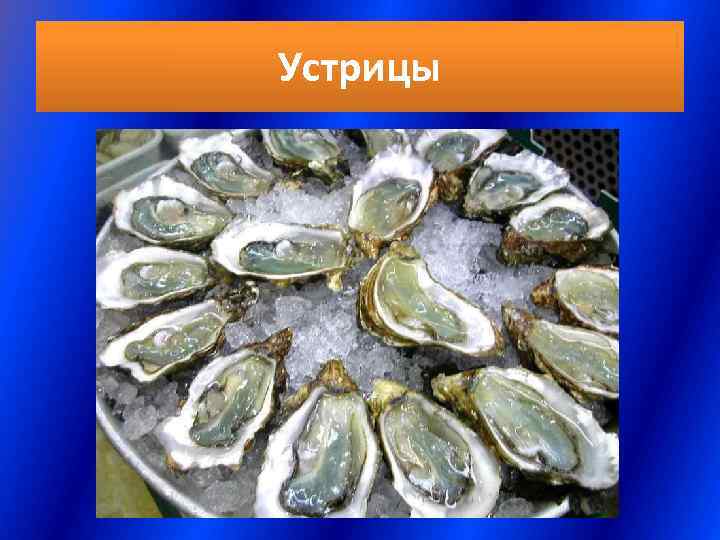 Устрицы 