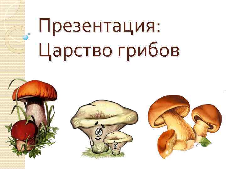Презентация: Царство грибов 