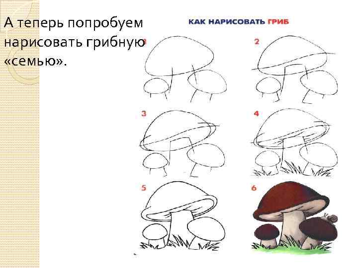 А теперь попробуем нарисовать грибную «семью» . 