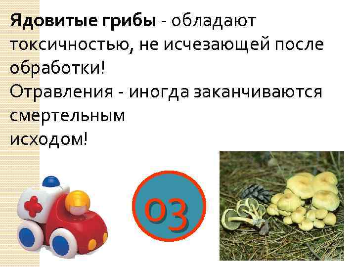 Ядовитые грибы - обладают токсичностью, не исчезающей после обработки! Отравления - иногда заканчиваются смертельным
