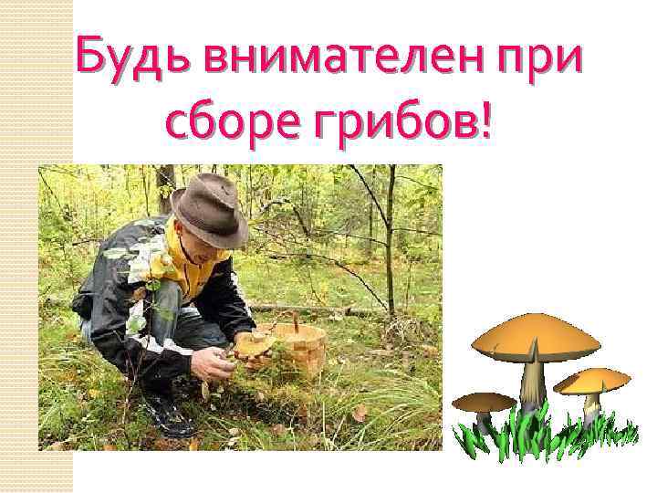 Будь внимателен при  сборе грибов! 