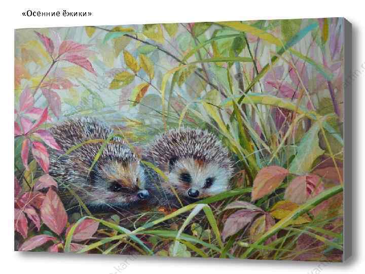  «Осенние ёжики» 