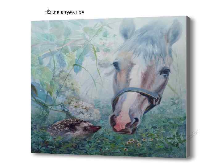  «Ёжик в тумане» 