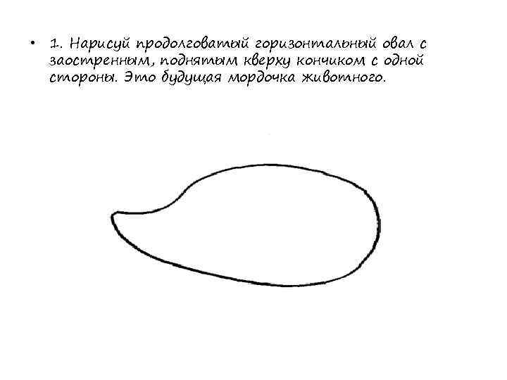  • 1. Нарисуй продолговатый горизонтальный овал с  заостренным, поднятым кверху кончиком с