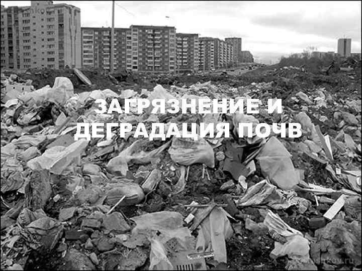  ЗАГРЯЗНЕНИЕ И ДЕГРАДАЦИЯ ПОЧВ   Пещерова О. В. , 2010 © 