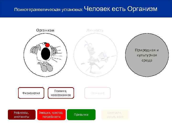 Психотерапевтическая установка: Человек есть Организм     Личность    