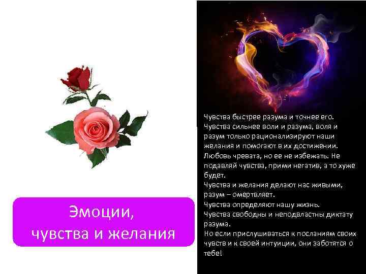     Чувства быстрее разума и точнее его.    