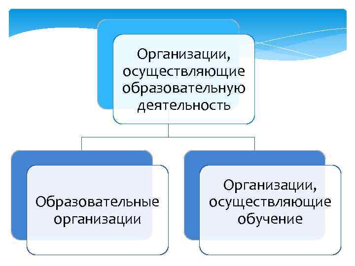   Организации,  осуществляющие  образовательную   деятельность    
