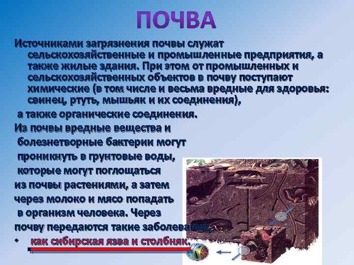 Источниками загрязнения почвы служат  сельскохозяйственные и промышленные предприятия, а  также жилые здания.