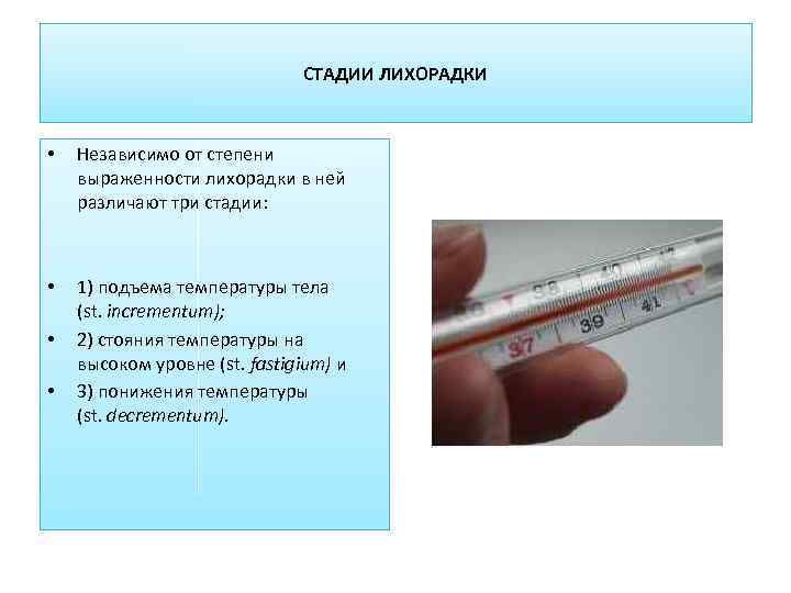       СТАДИИ ЛИХОРАДКИ •  Независимо от степени выраженности