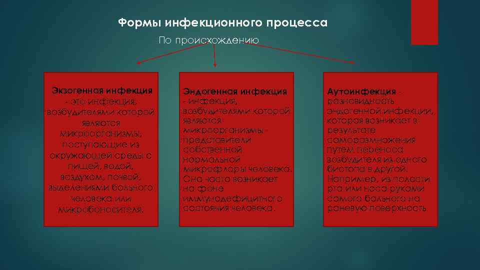    Формы инфекционного процесса     По происхождению Экзогенная инфекция