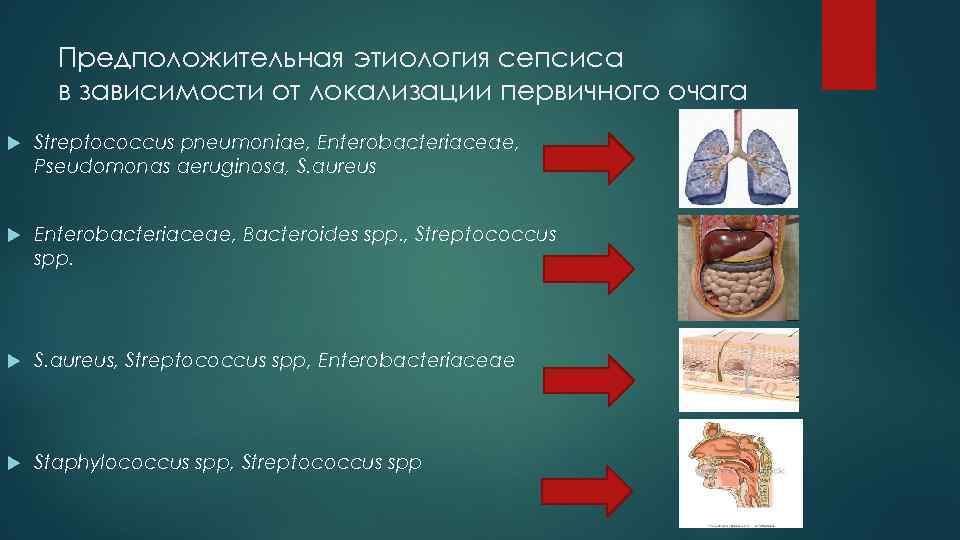 Предположительная этиология сепсиса  в зависимости от локализации первичного очага Streptococcus pneumoniae, Enterobacteriaceae,