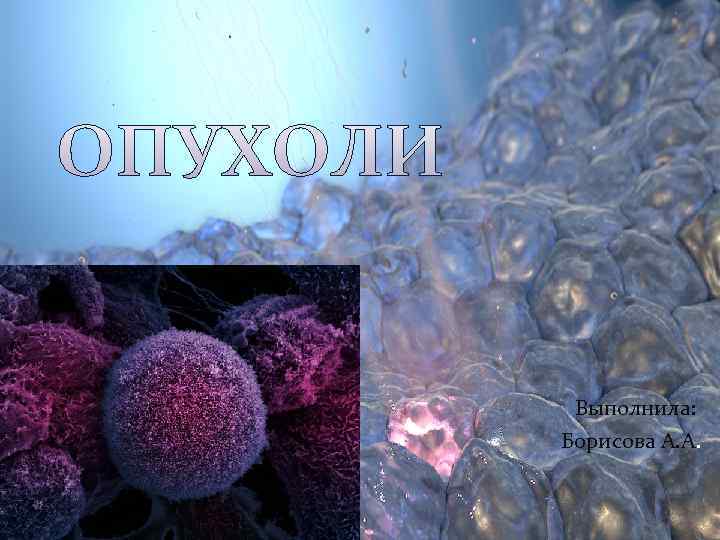  Выполнила: Борисова А. А. 